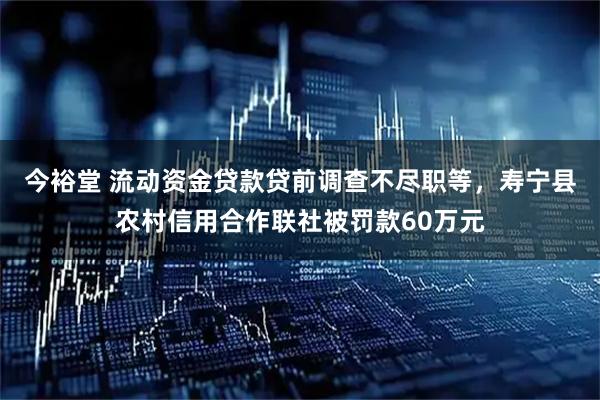 今裕堂 流动资金贷款贷前调查不尽职等，寿宁县农村信用合作联社被罚款60万元